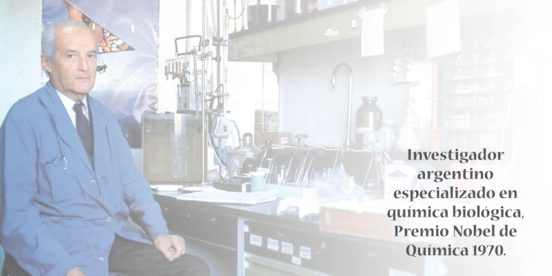 6 DE SEPTIEMBRE