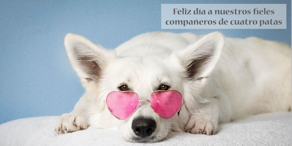 21 DE JULIO