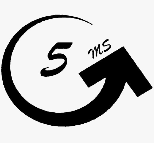 Grupo 5ms